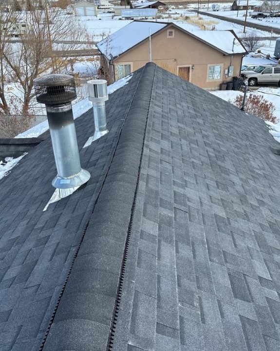 asphalt shingle roof